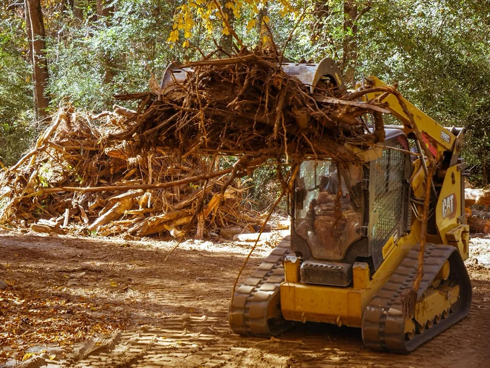 Land clearing