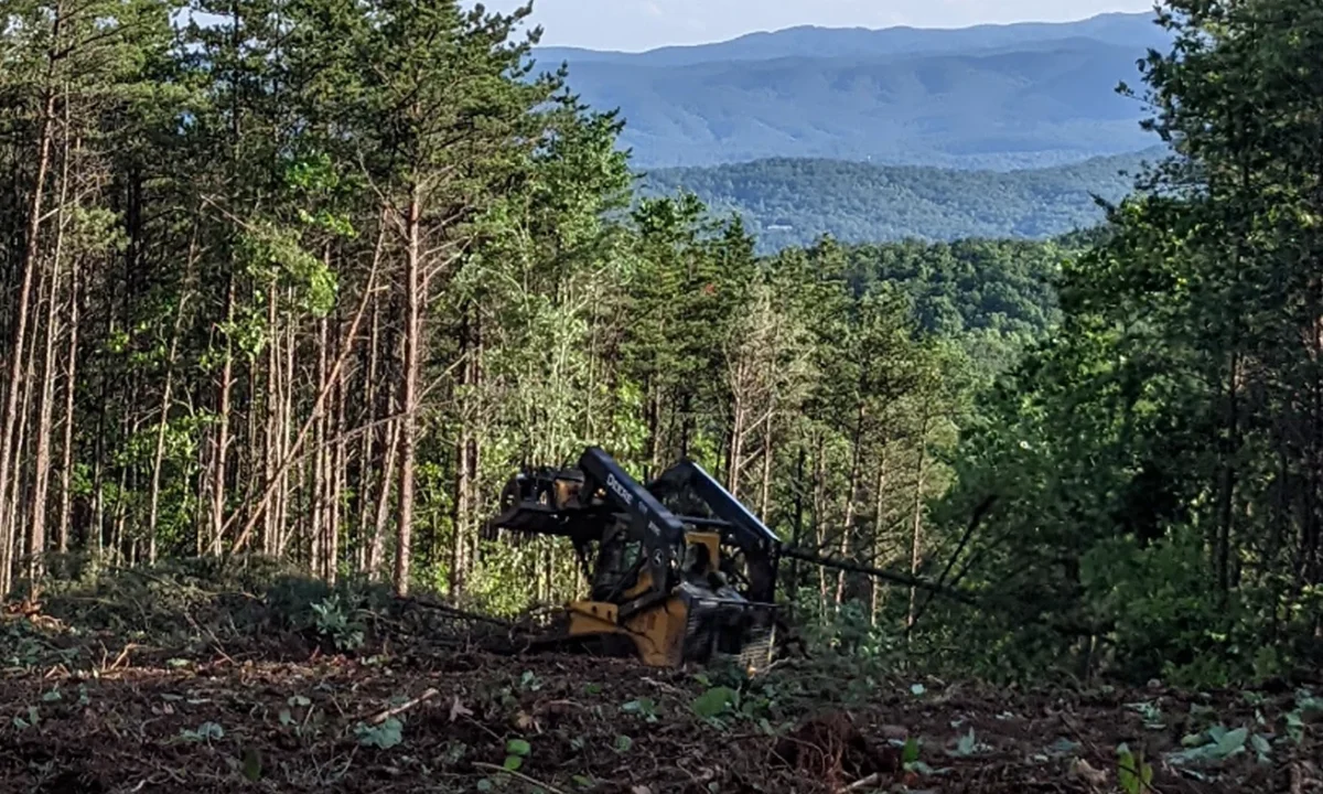 Mountain property clearing